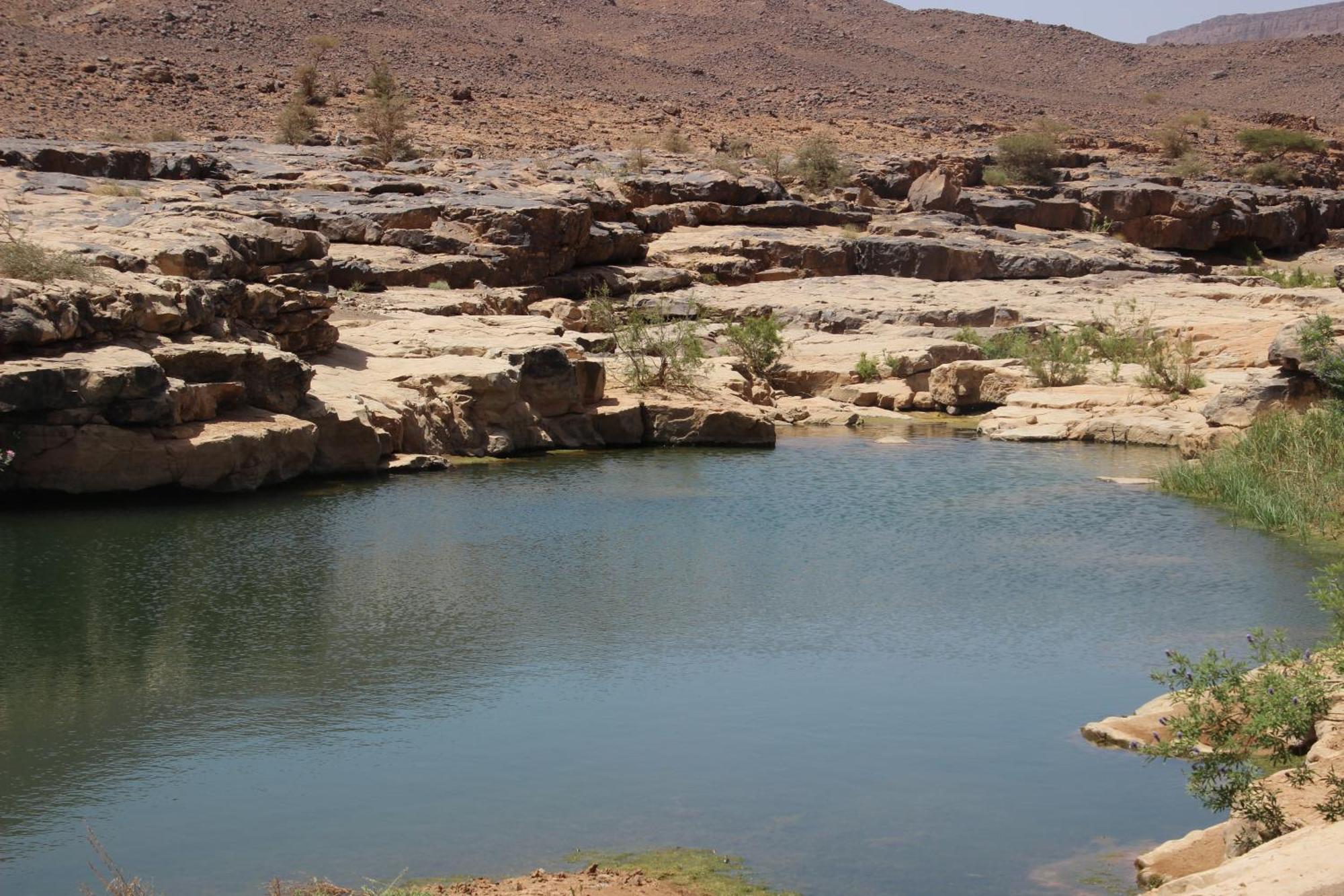 Bivouac Les Nomades & Foum Zguid To Chegaga Tours Hotel Exterior photo